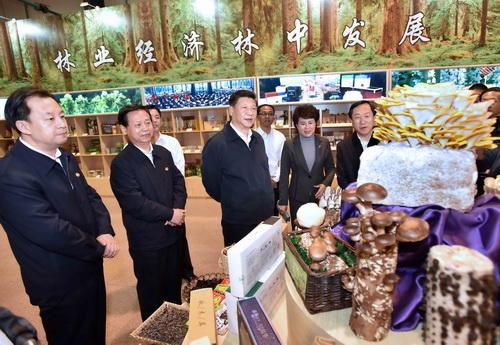 點擊進(jìn)入下一頁